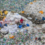 estinzione inquinamento globale effetto serra plastica